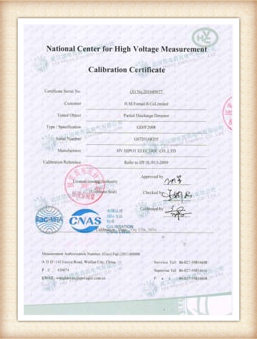 Certificato di calibrazione GDJF-200801